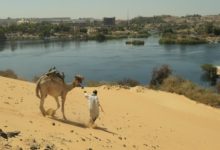 Aswan