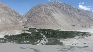 Nubra Valley