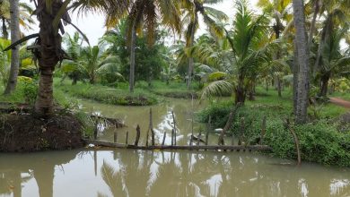 Backwaters