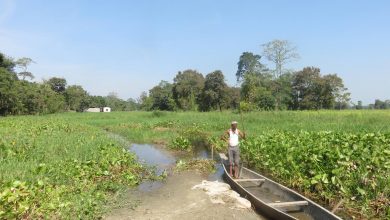 Majuli Island