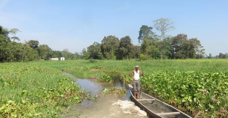 Majuli Island