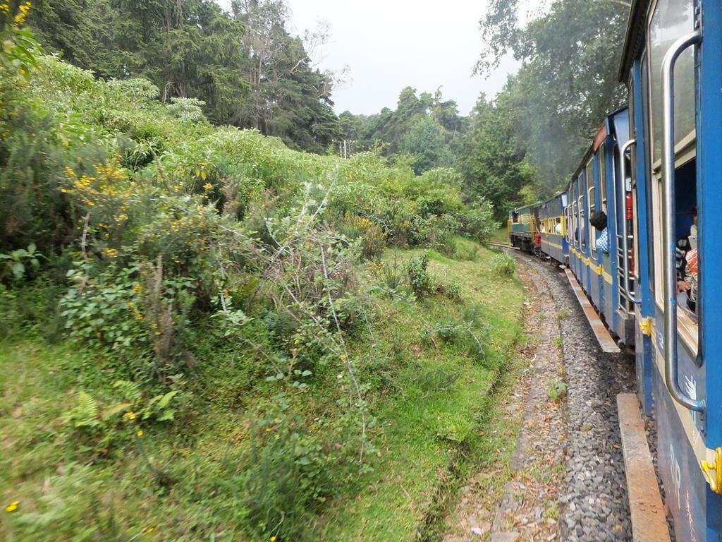 Train ligne Nilgiri