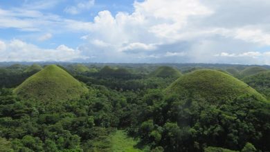 Chocolate Hills