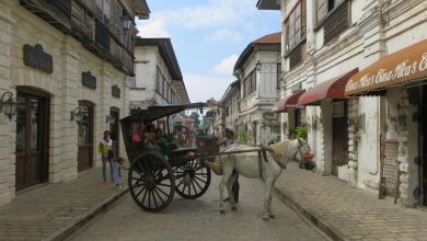 Vigan