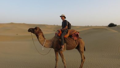 Thar Desert