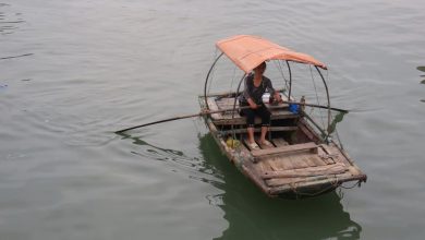 Quan Lan Island